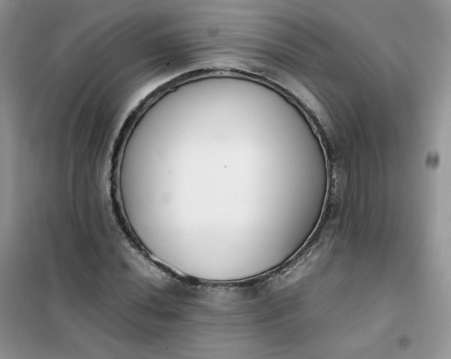 X0000102031020200808011443