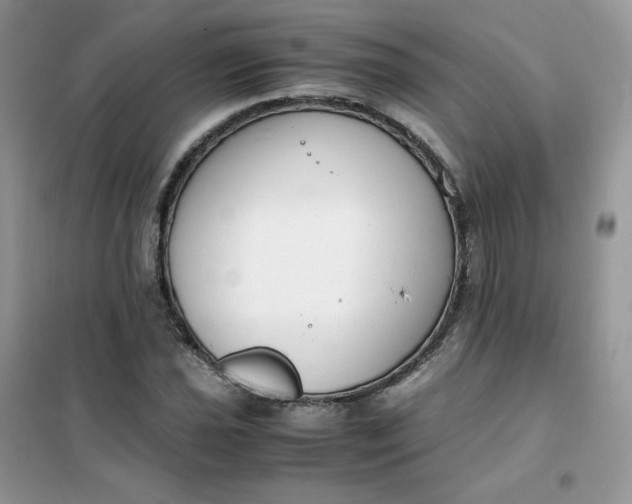 X0000102031021200808011443