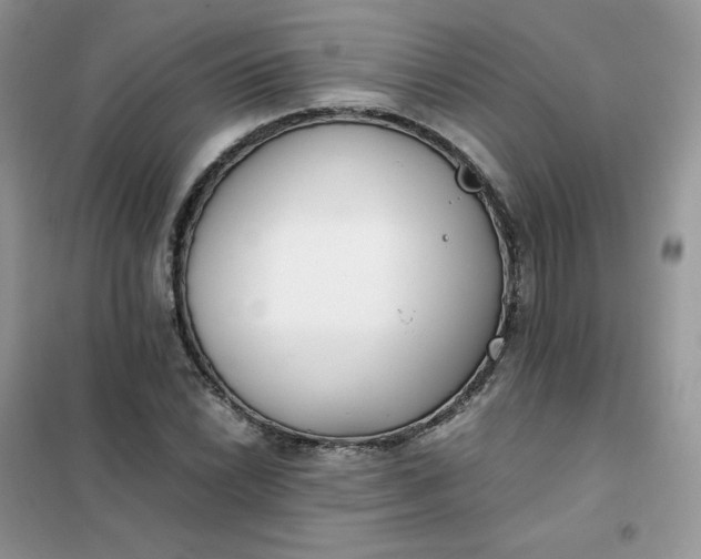 X0000102031022200808011443