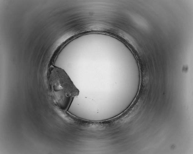 X0000102031026200808011443