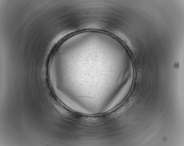 X0000102031027200808011443