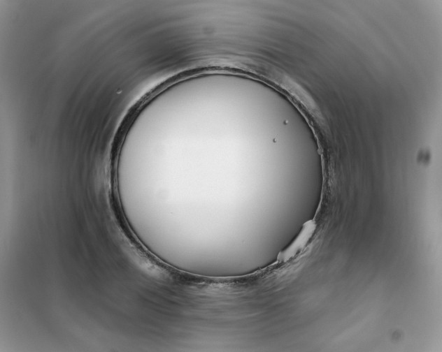 X0000102031028200808011443