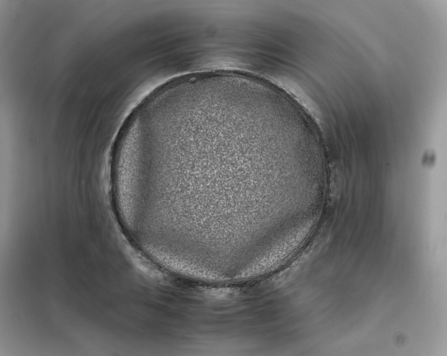 X0000102031031200808011443