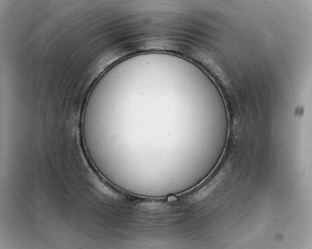 X0000102031033200808011443