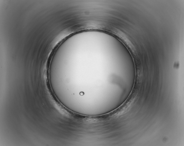 X0000102031034200808011443