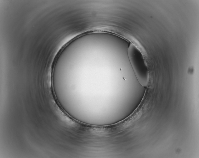 X0000102031036200808011443