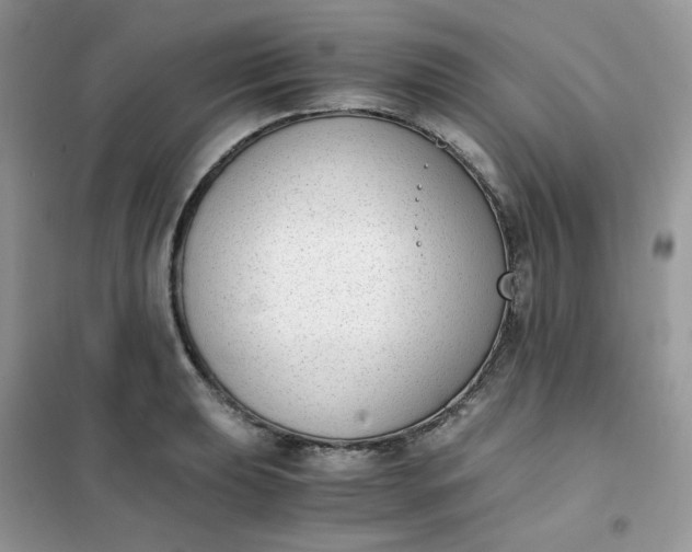 X0000102031039200808011443