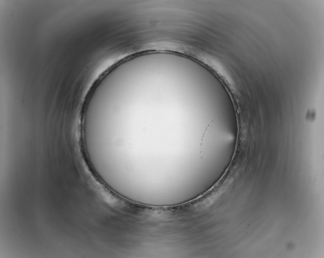 X0000102031040200808011443