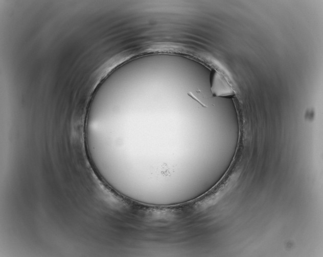 X0000102031041200808011443