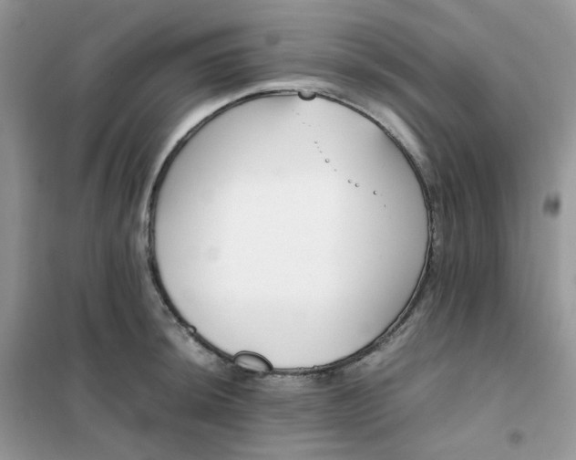 X0000102031044200808011443