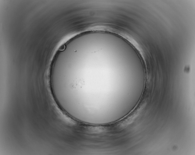 X0000102031045200808011443