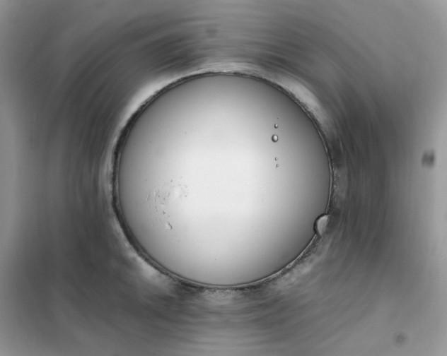 X0000102031046200808011443