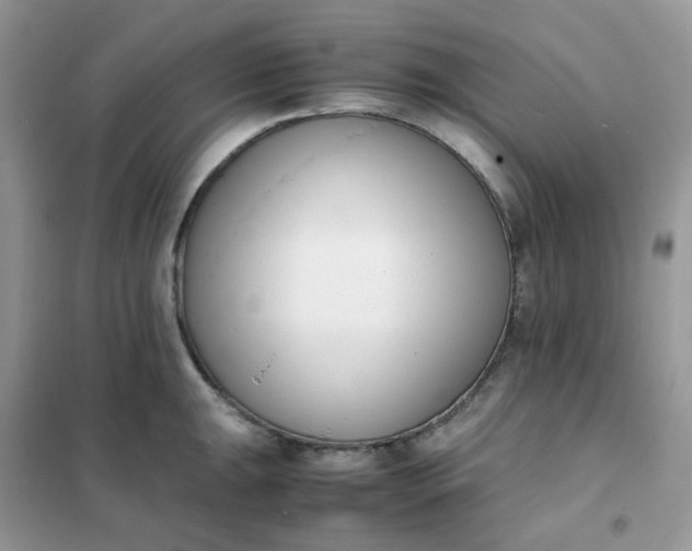 X0000102031047200808011443