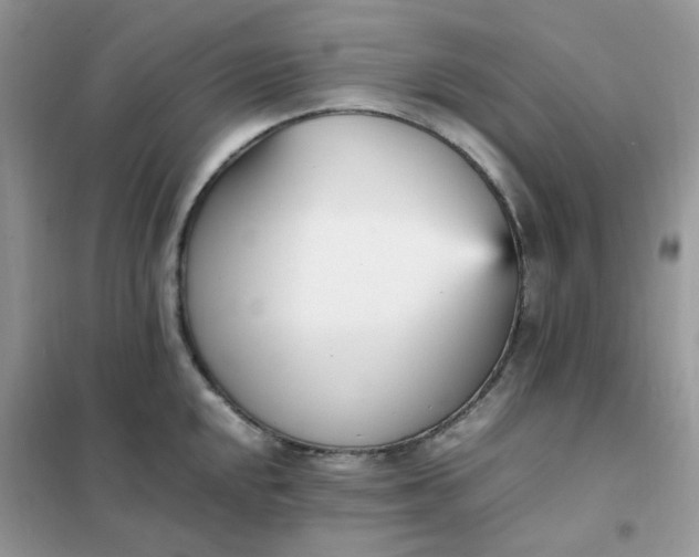 X0000102031048200808011443