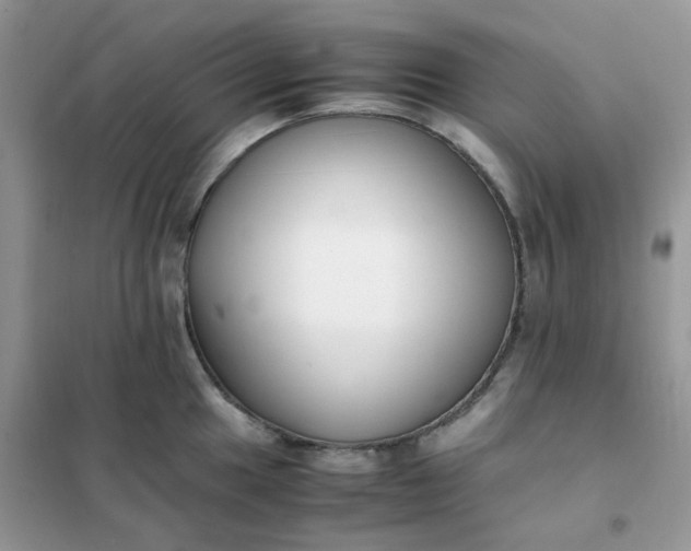 X0000102031049200808011443