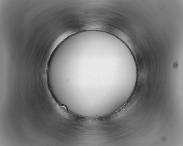 X0000102031050200808011443