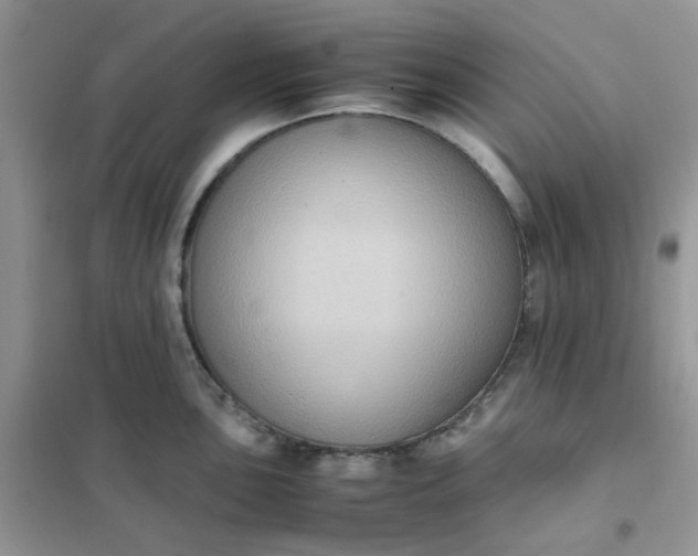 X0000102031051200808011443