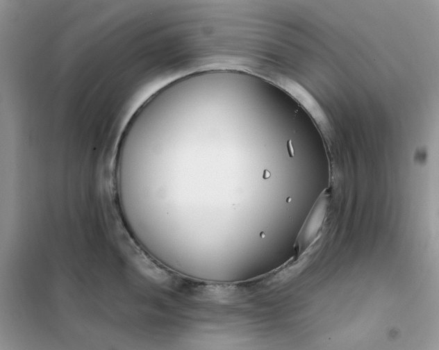 X0000102031052200808011443