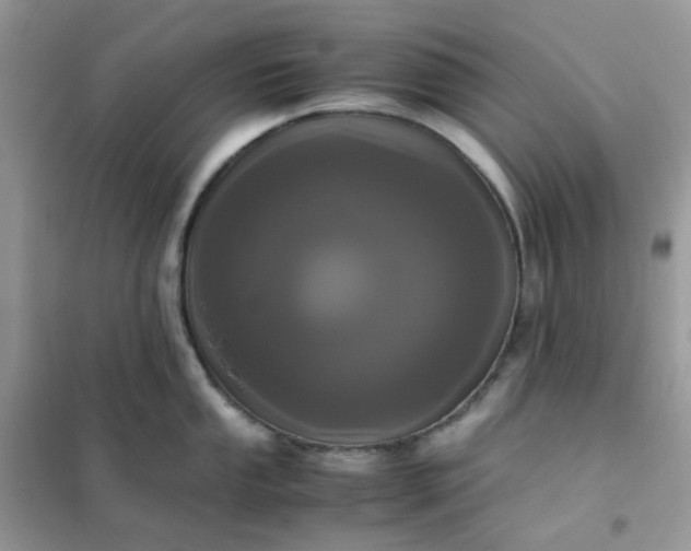 X0000102031053200808011443