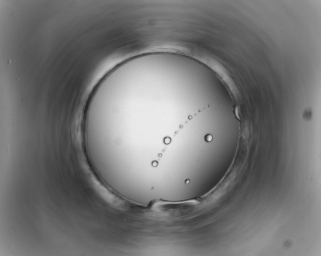 X0000102031054200808011443