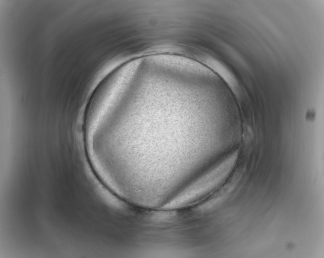 X0000102031055200808011443