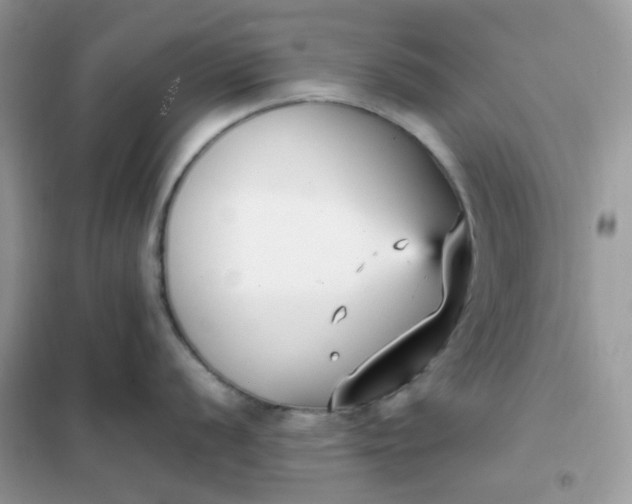 X0000102031056200808011443