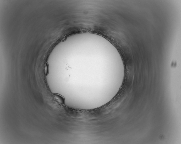 X0000102031057200808011442