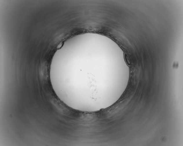 X0000102031058200808011442