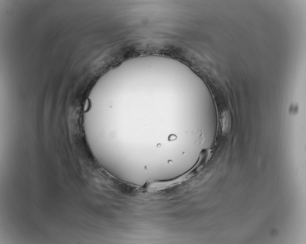 X0000102031059200808011442