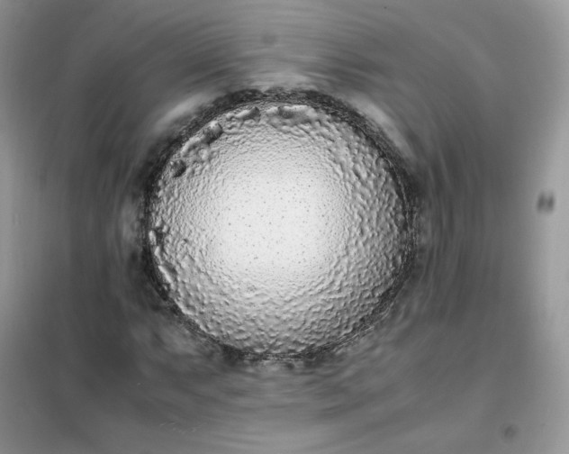 X0000102031063200808011442