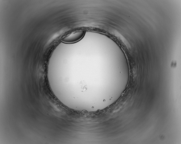 X0000102031064200808011442