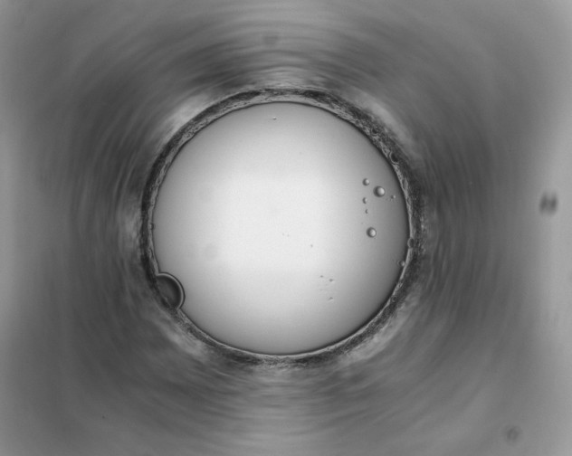 X0000102031065200808011442