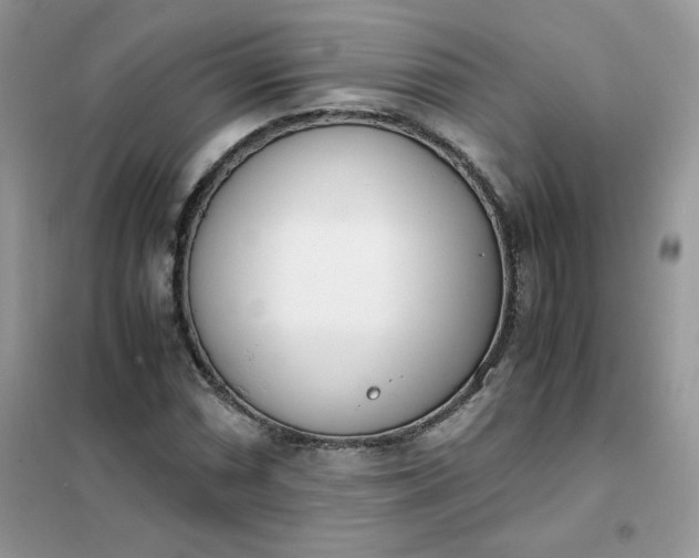 X0000102031066200808011442