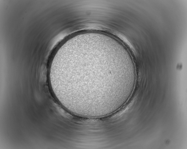 X0000102031067200808011442