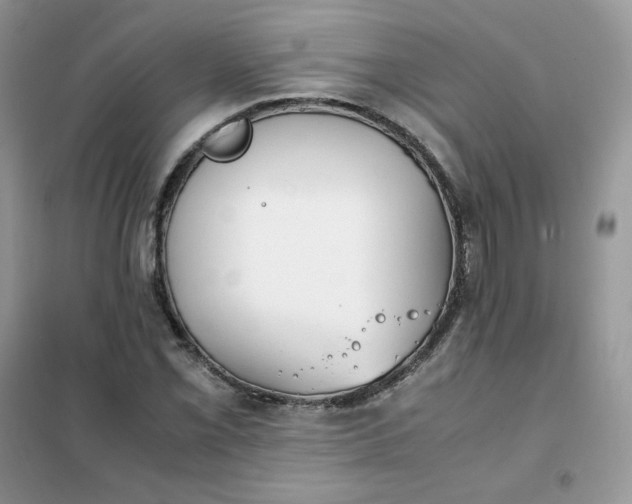 X0000102031069200808011442