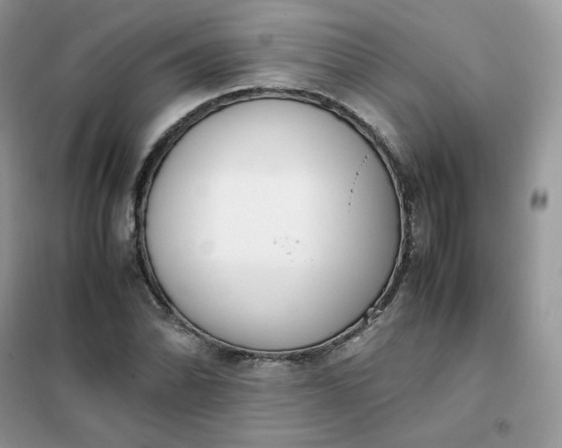 X0000102031070200808011442