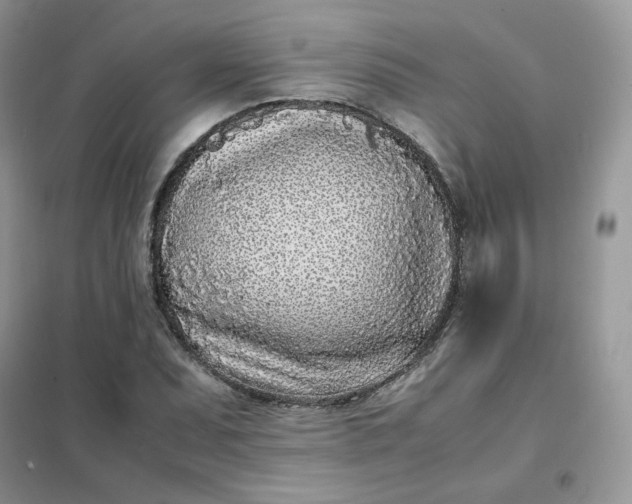 X0000102031071200808011442