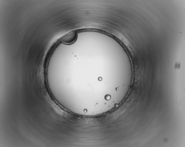 X0000102031072200808011442