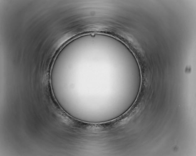 X0000102031073200808011442