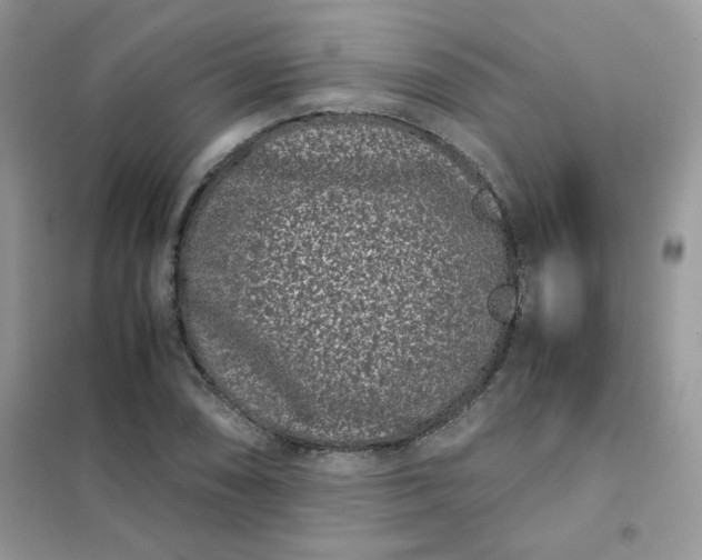 X0000102031074200808011442