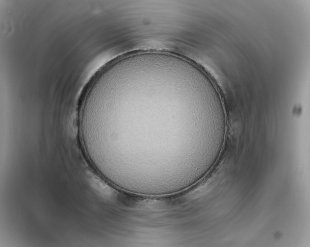 X0000102031075200808011442