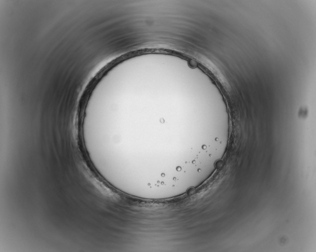 X0000102031076200808011442