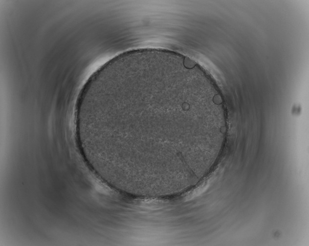 X0000102031077200808011442