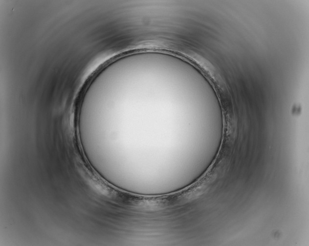 X0000102031078200808011442