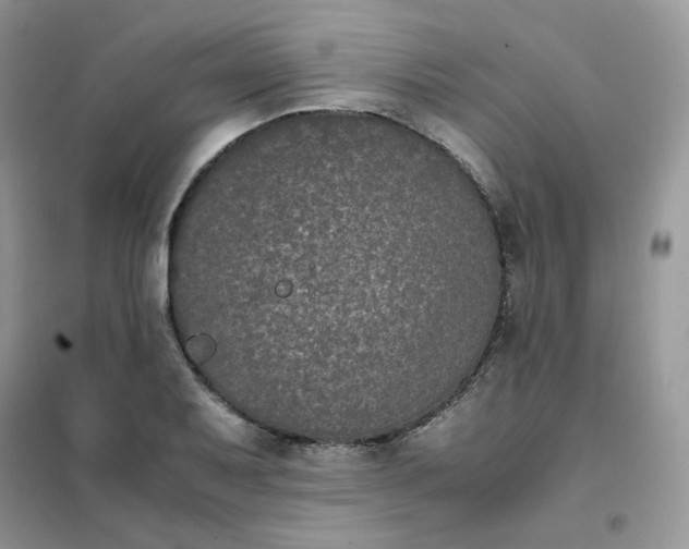 X0000102031079200808011442