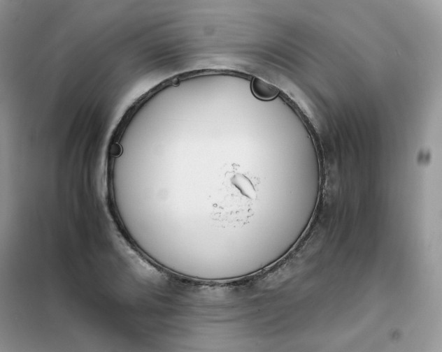 X0000102031080200808011442