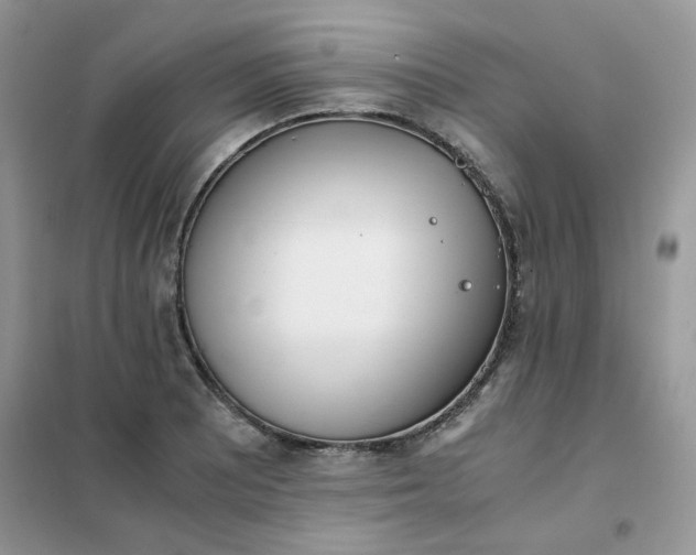 X0000102031081200808011442