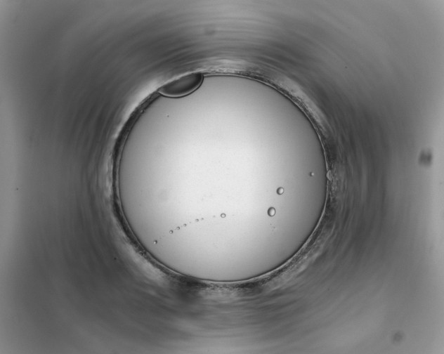 X0000102031083200808011442