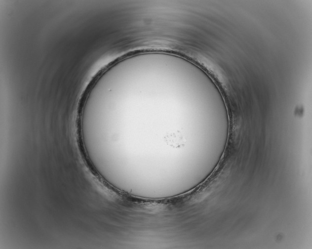 X0000102031085200808011442