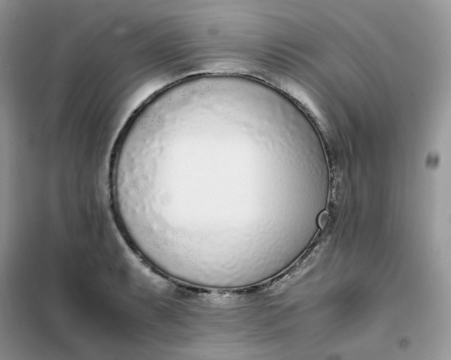 X0000102031087200808011442